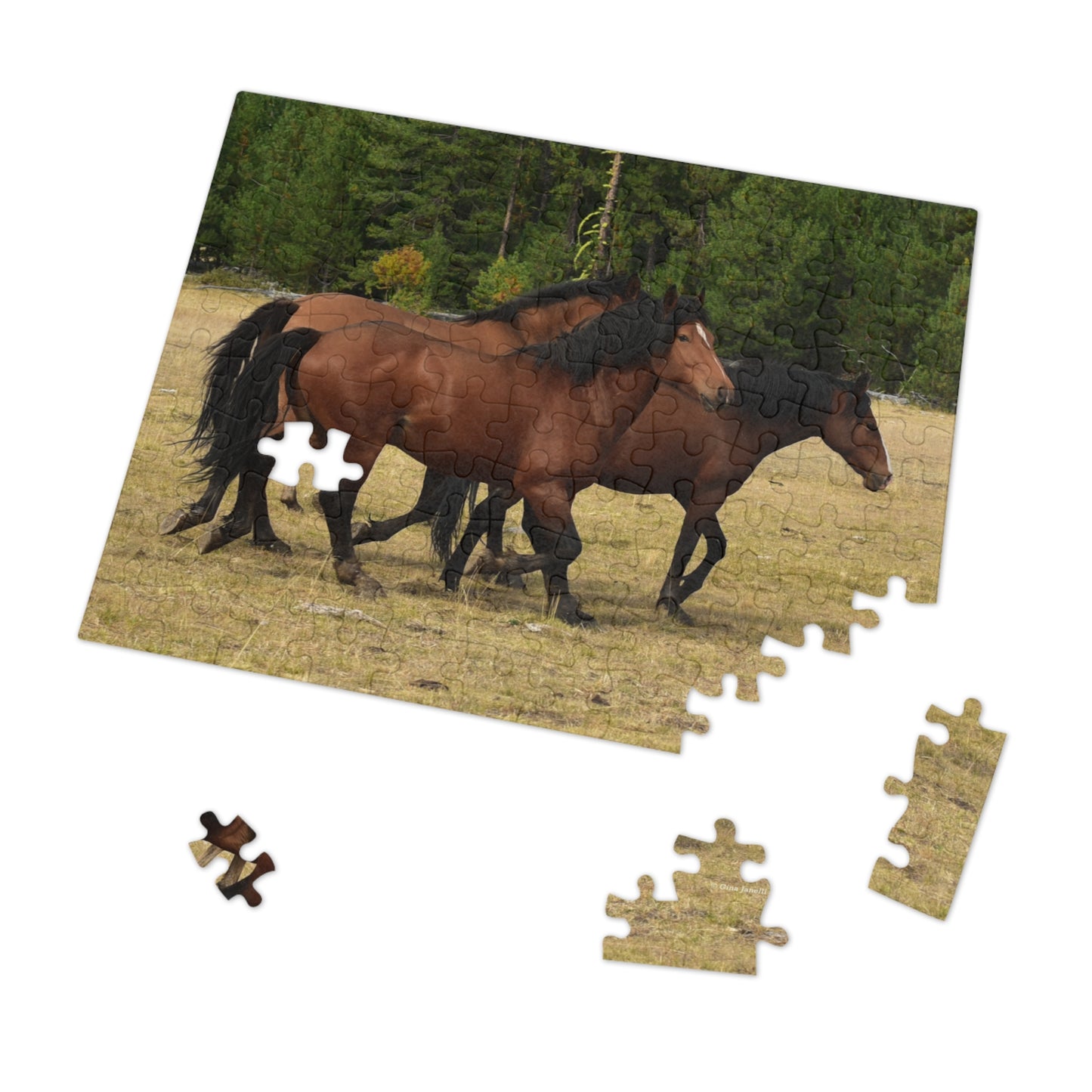 The Wild Bunch. Young Stallion and Mares. Jigsaw Puzzle (110, 252, 500,1000-Piece)