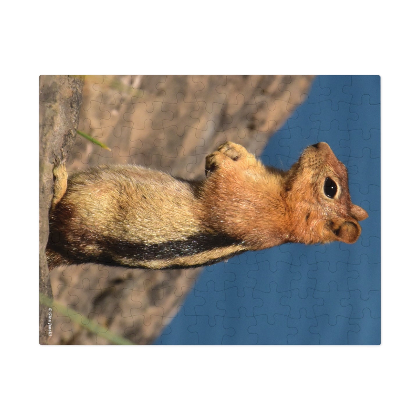 Golden-mantled Ground Squirrel         Jigsaw Puzzle ( 110, 252, 500  Piece)