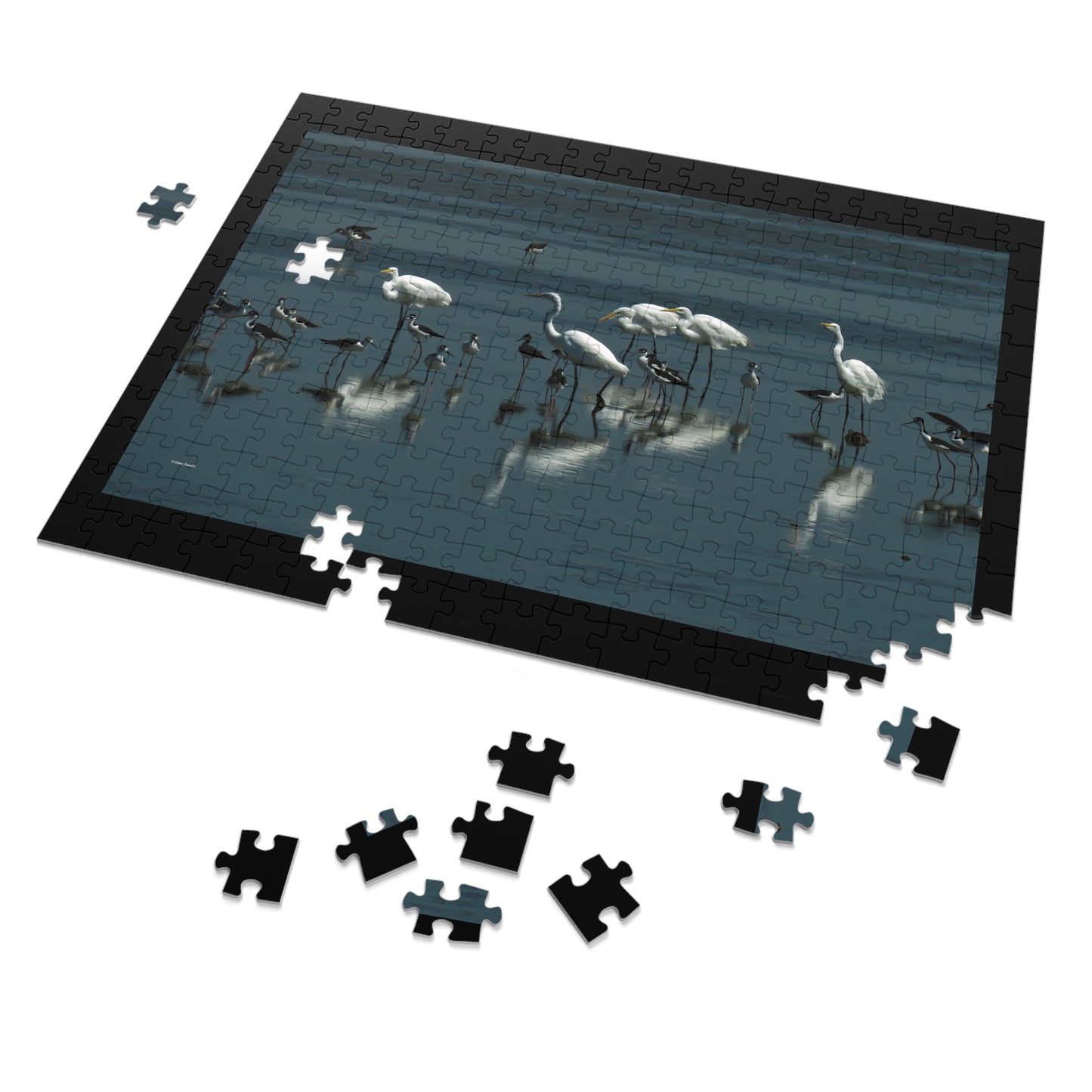 Egret and Black-necked Stilts    Jigsaw Puzzle ( 110, 250 Piece)