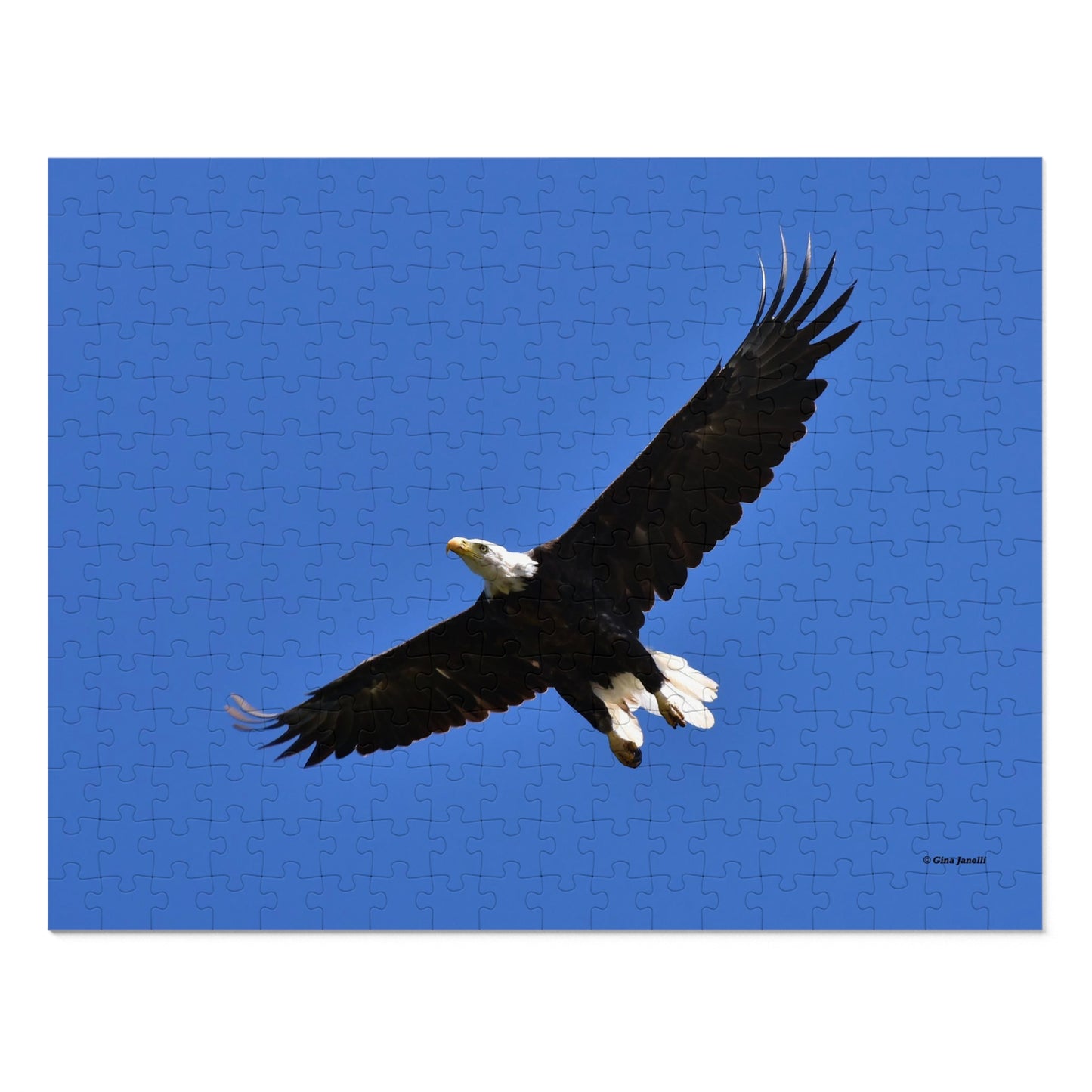 Bald Eagle  Jigsaw Puzzle ( 110, 252, 500,1000-Piece)