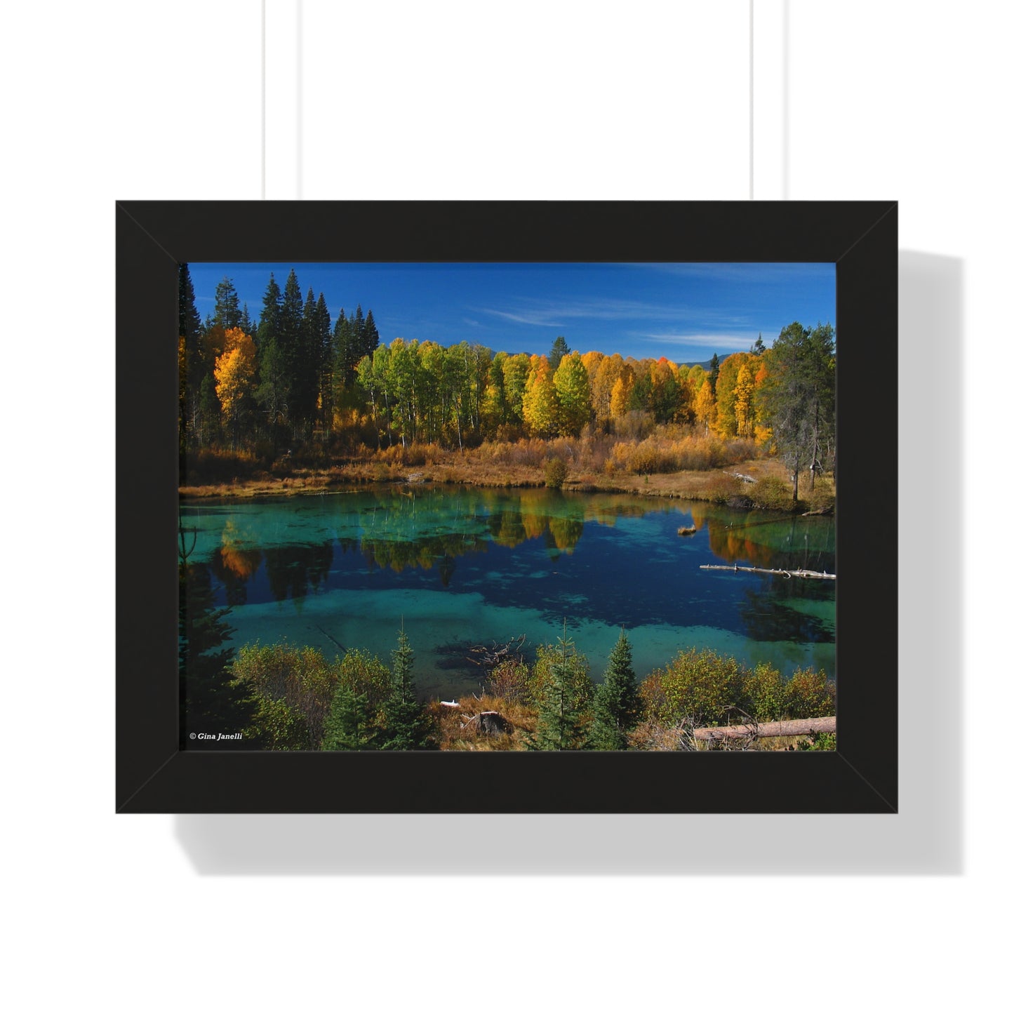 Kimball State Park, Ft. Klamath Or.             Framed Horizontal Poster