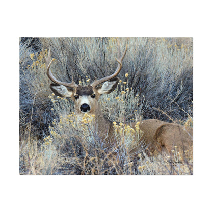 Mule Deer Buck Moment    Jigsaw Puzzle (30, 110, 252 -Piece)