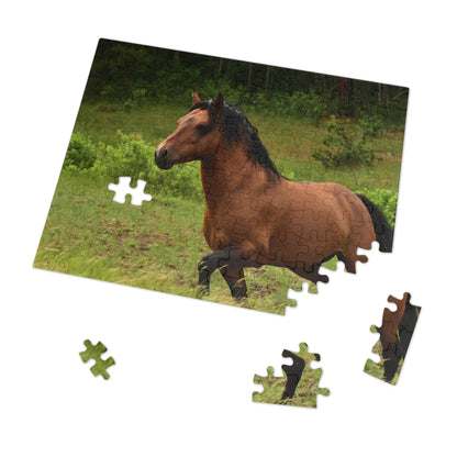 Protector,  Wild Stallion  Jigsaw Puzzle ( 110, 252, 500, Piece)