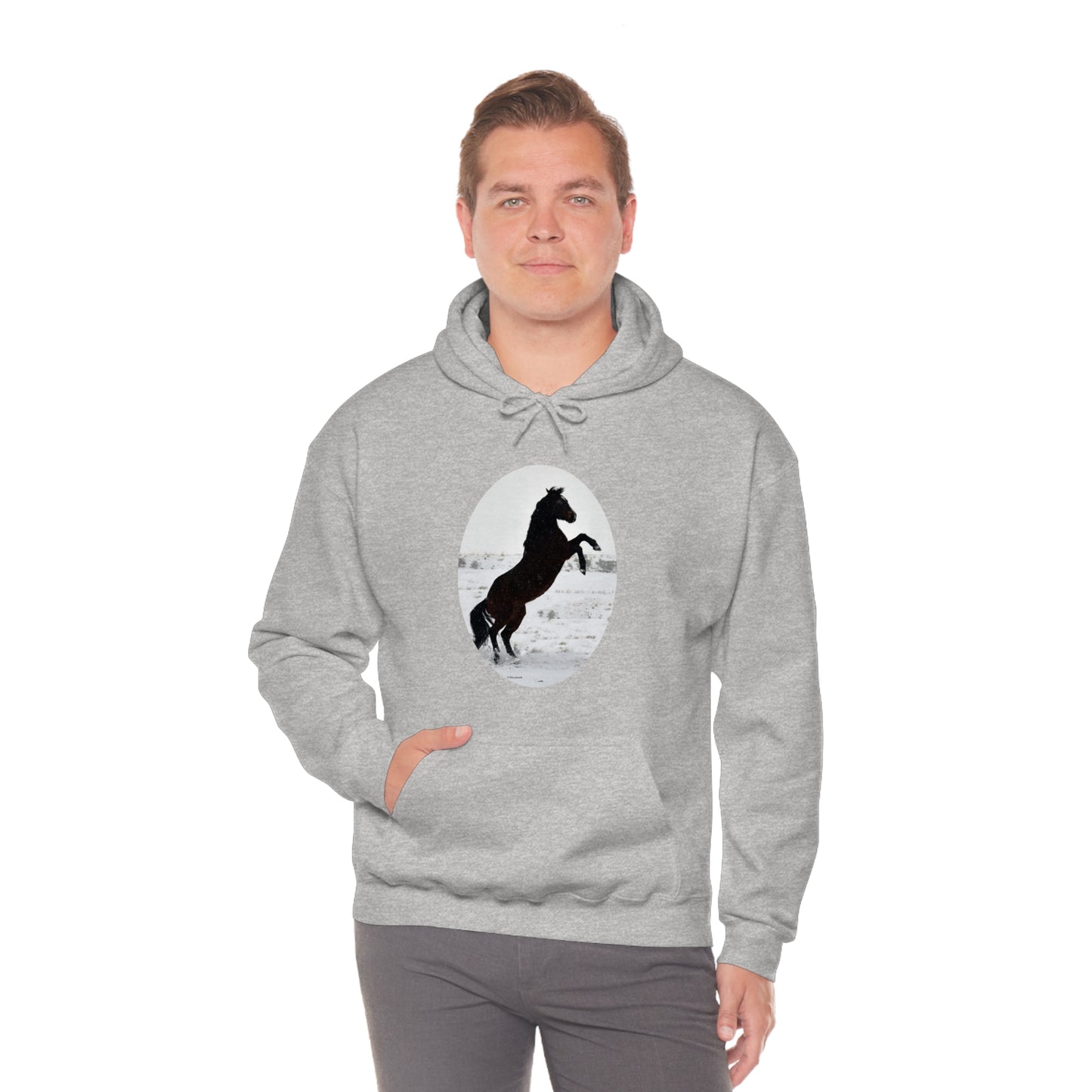 Snow storm - Quarter Horse    Unisex Heavy Blend™ Hooded Sweatshirt