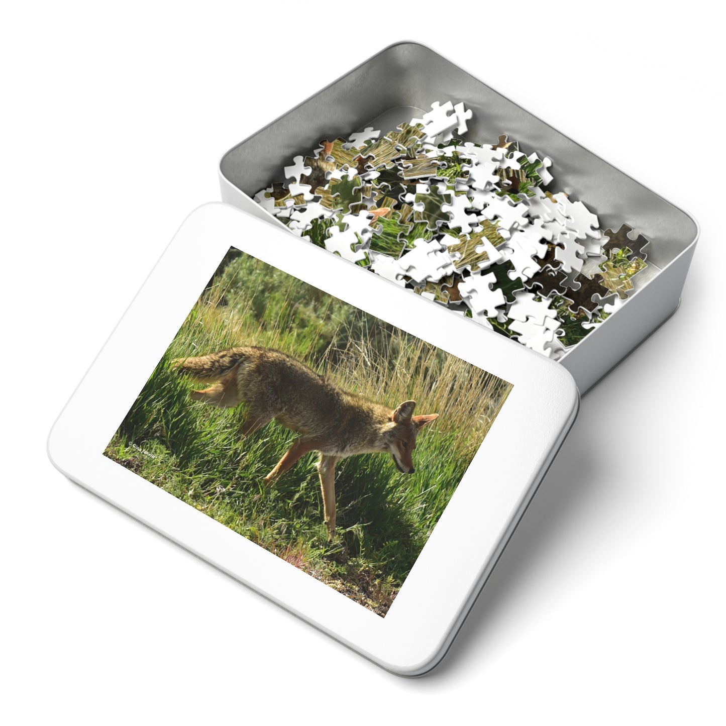 Coyote Jigsaw Puzzle ( 110, 252, 500-Piece)