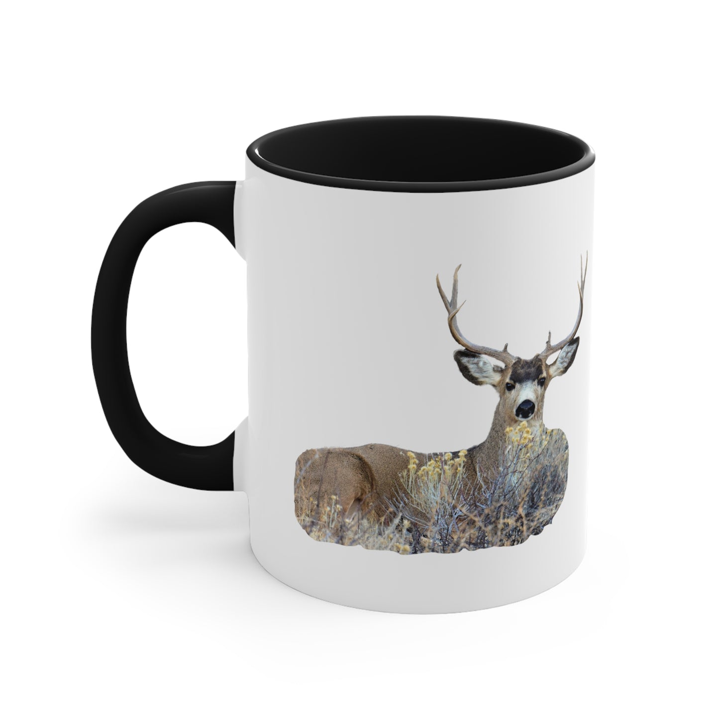 Mule Deer Buck Moment  Accent Mug  11oz