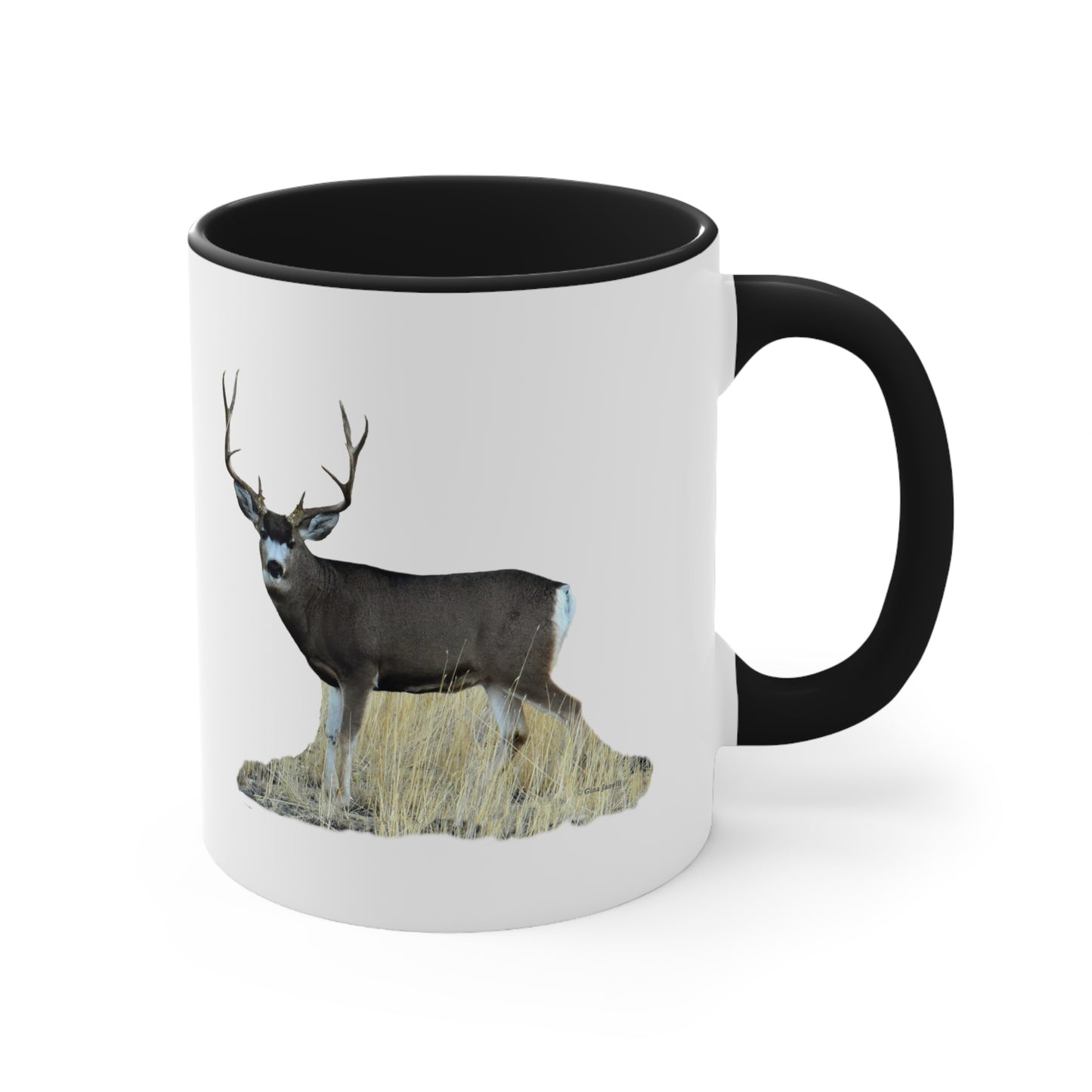 Standing Mule Deer Buck   Accent Mugs 11oz