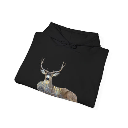 Mule Deer Buck Moment   Unisex Heavy Blend™ Hooded Sweatshirt