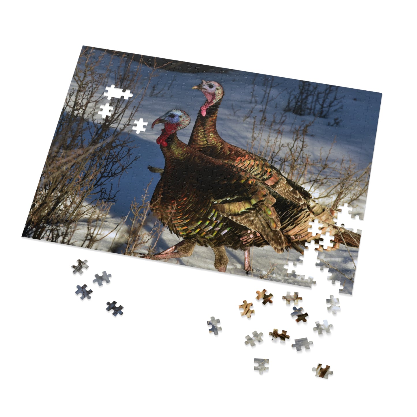 Wild Tom Turkeys  Jigsaw Puzzle ( 110, 252, 500,1000-Piece)