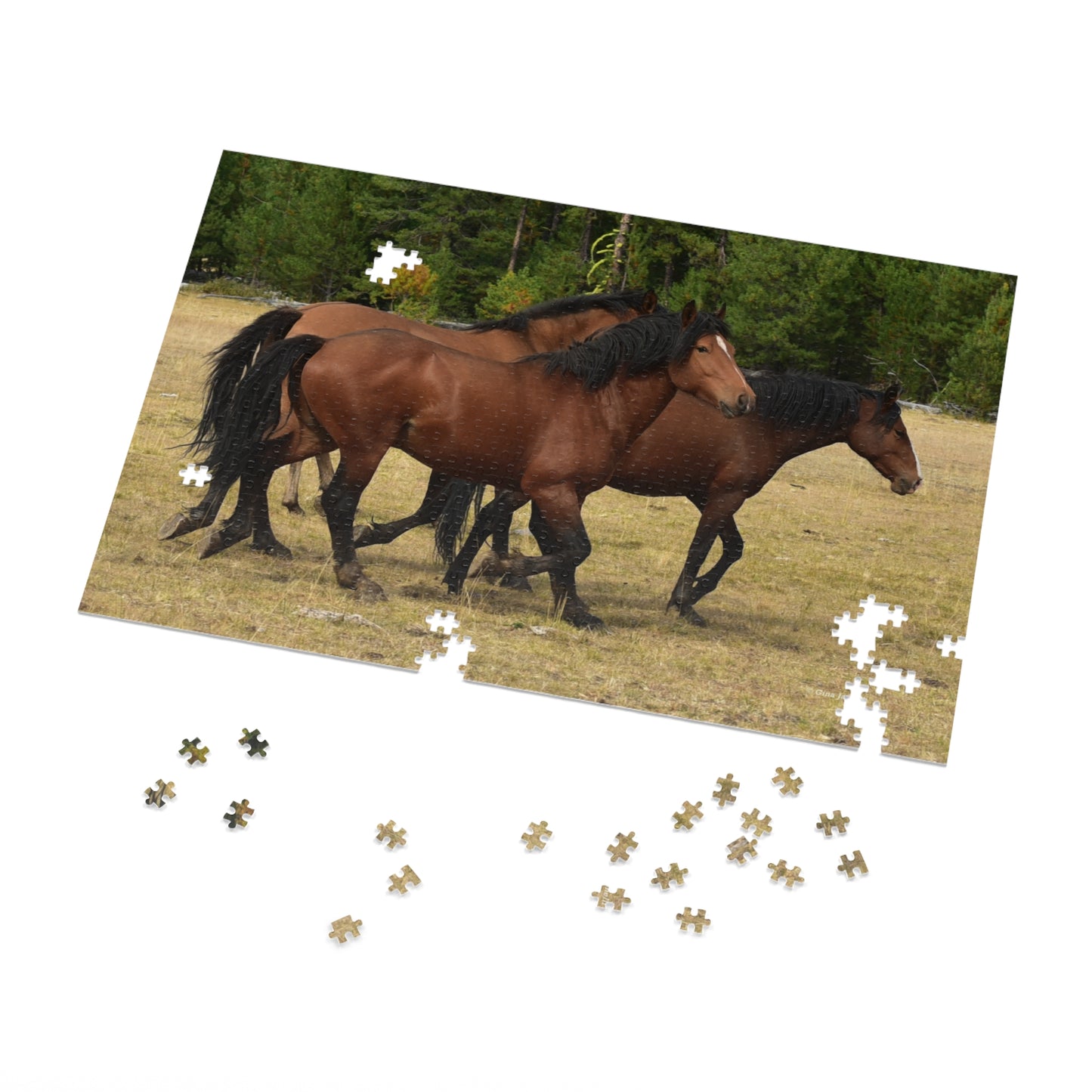 The Wild Bunch. Young Stallion and Mares. Jigsaw Puzzle (110, 252, 500,1000-Piece)