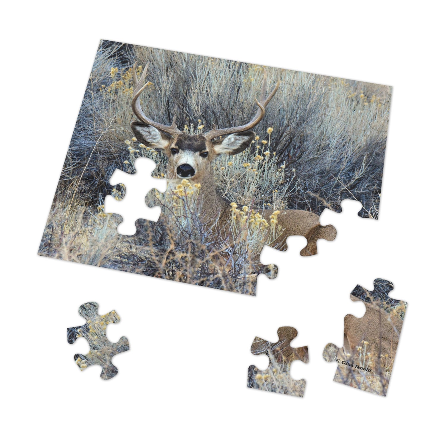 Mule Deer Buck Moment    Jigsaw Puzzle (30, 110, 252 -Piece)