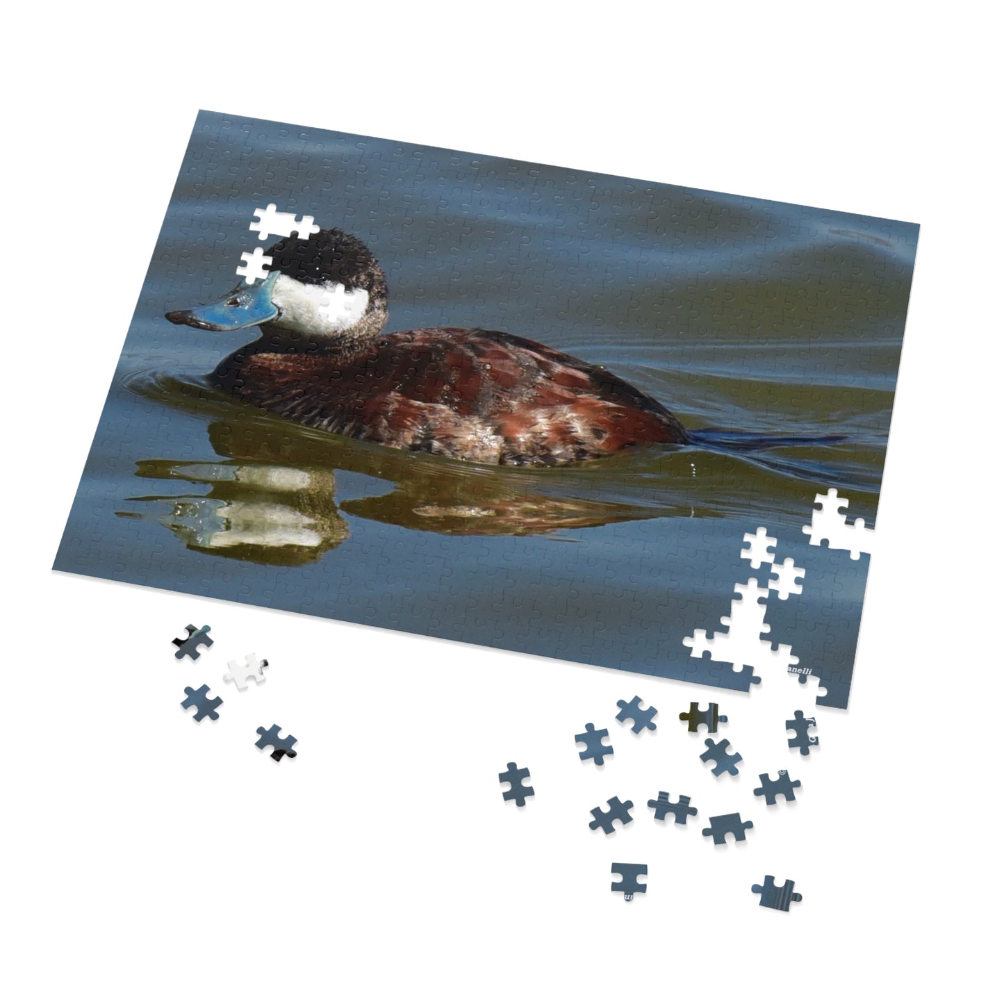 Ruddy Duck  Jigsaw Puzzle (110, 252, 500,-Piece)