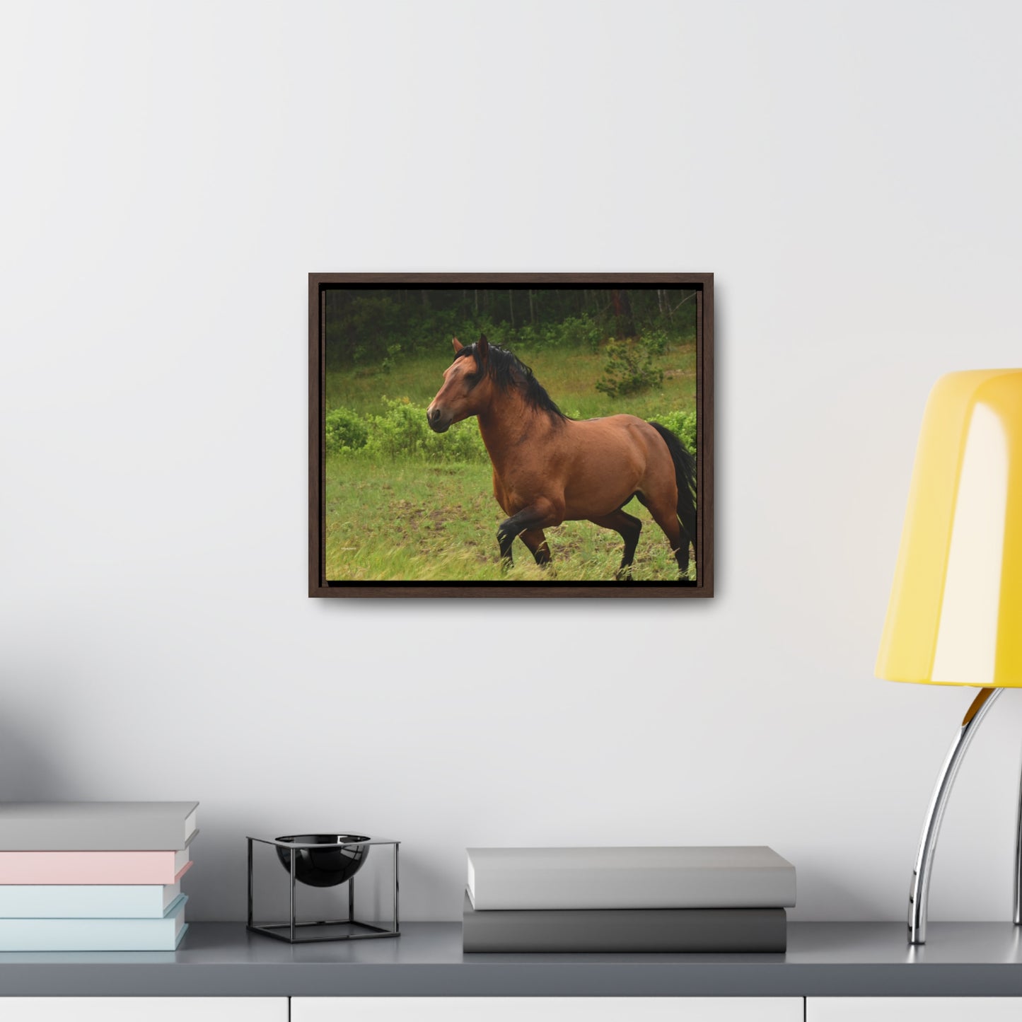 Protector,  Wild Stallion   Gallery Canvas Wraps, Horizontal Frame