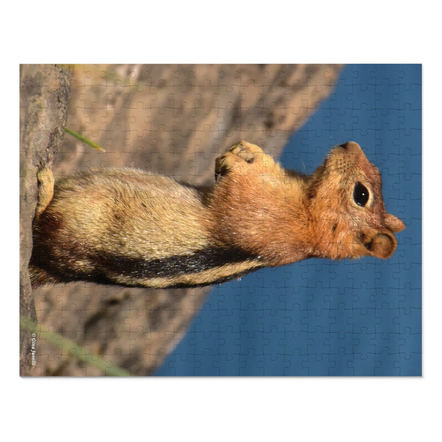 Golden-mantled Ground Squirrel         Jigsaw Puzzle ( 110, 252, 500  Piece)