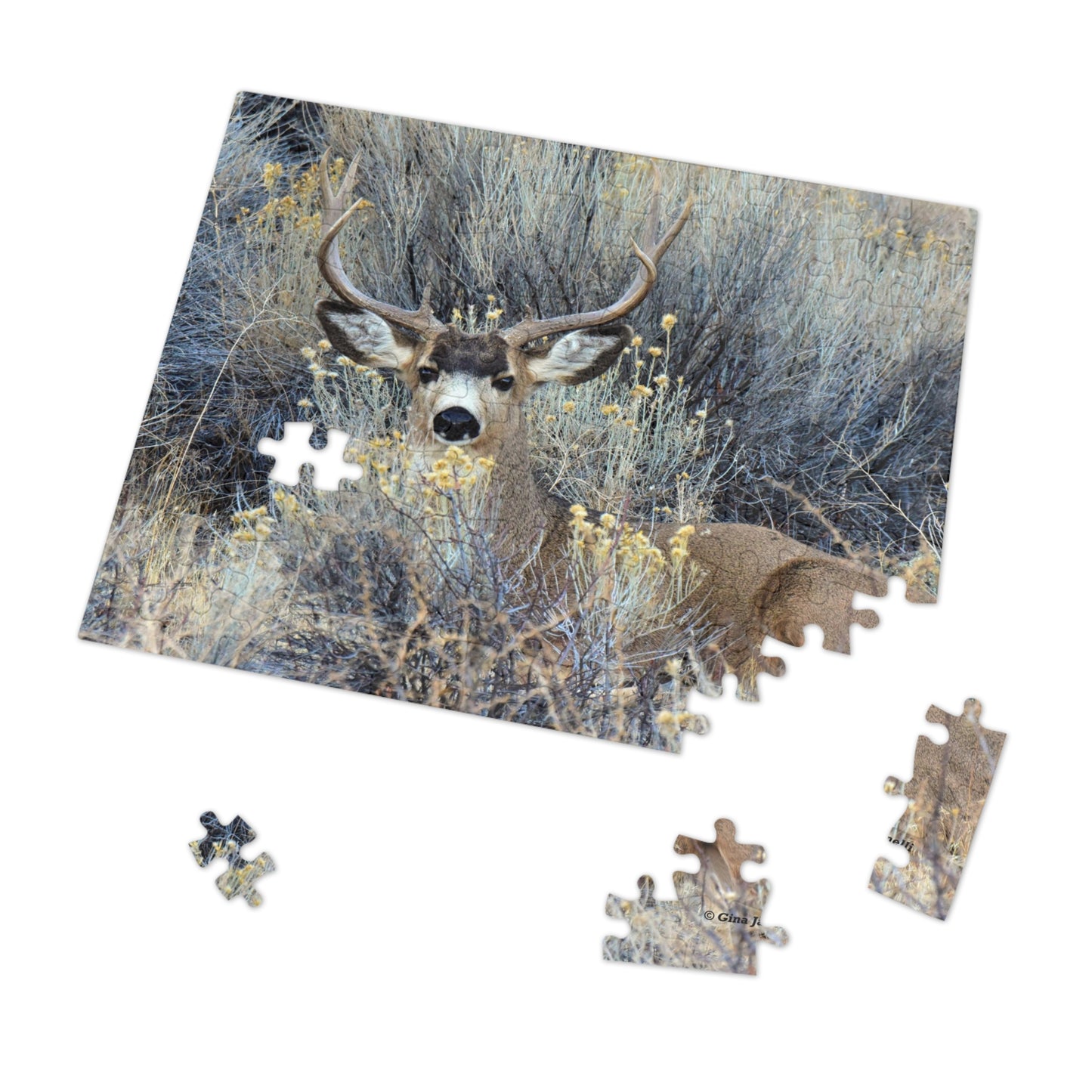 Mule Deer Buck Moment    Jigsaw Puzzle (30, 110, 252 -Piece)