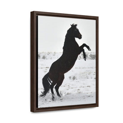 Snow Storm - Quarter Horse    Gallery Canvas Wraps, Vertical Frame