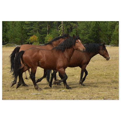 The Wild Bunch. Young Stallion and Mares. Jigsaw Puzzle (110, 252, 500,1000-Piece)