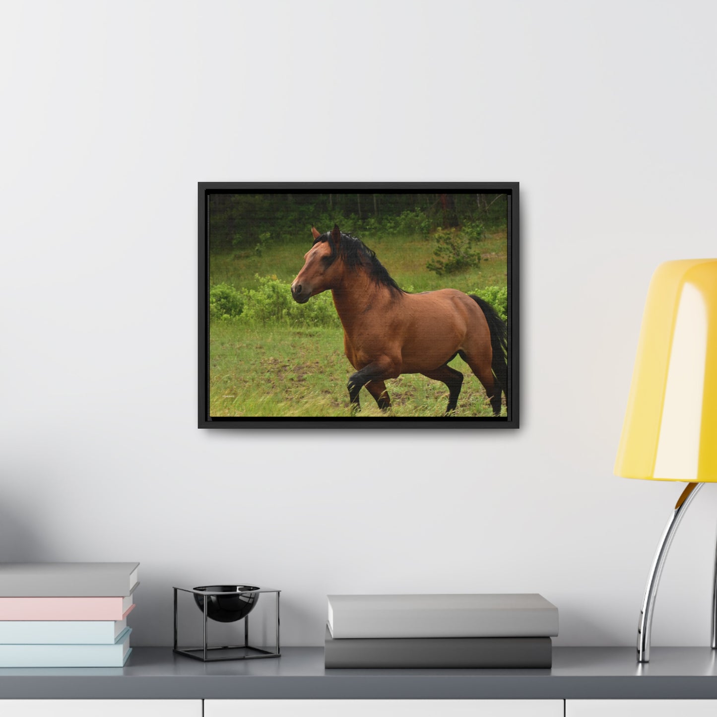 Protector,  Wild Stallion   Gallery Canvas Wraps, Horizontal Frame