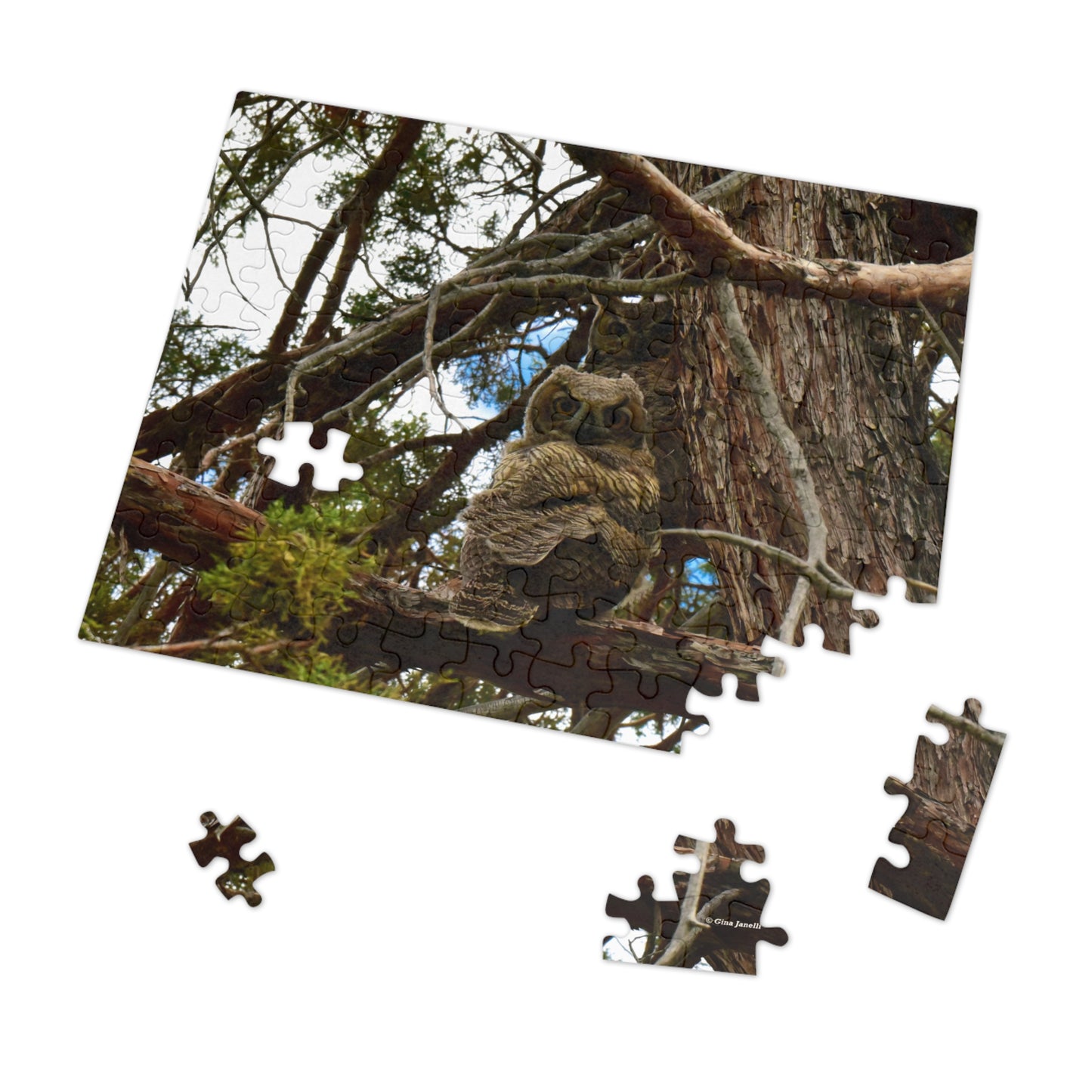 Great Horned Owls  Jigsaw Puzzle (30, 110, 252,-Piece)