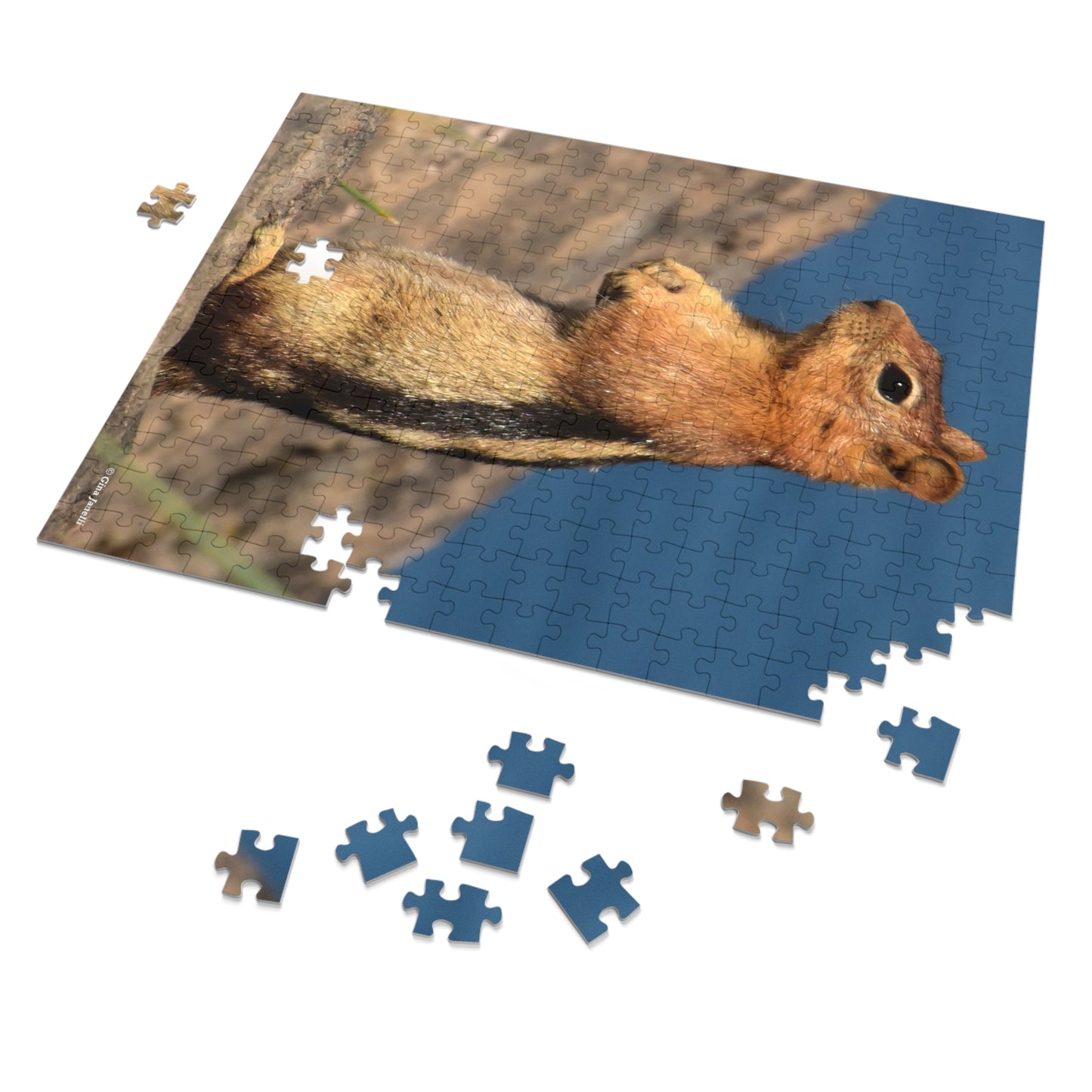 Golden-mantled Ground Squirrel         Jigsaw Puzzle ( 110, 252, 500  Piece)