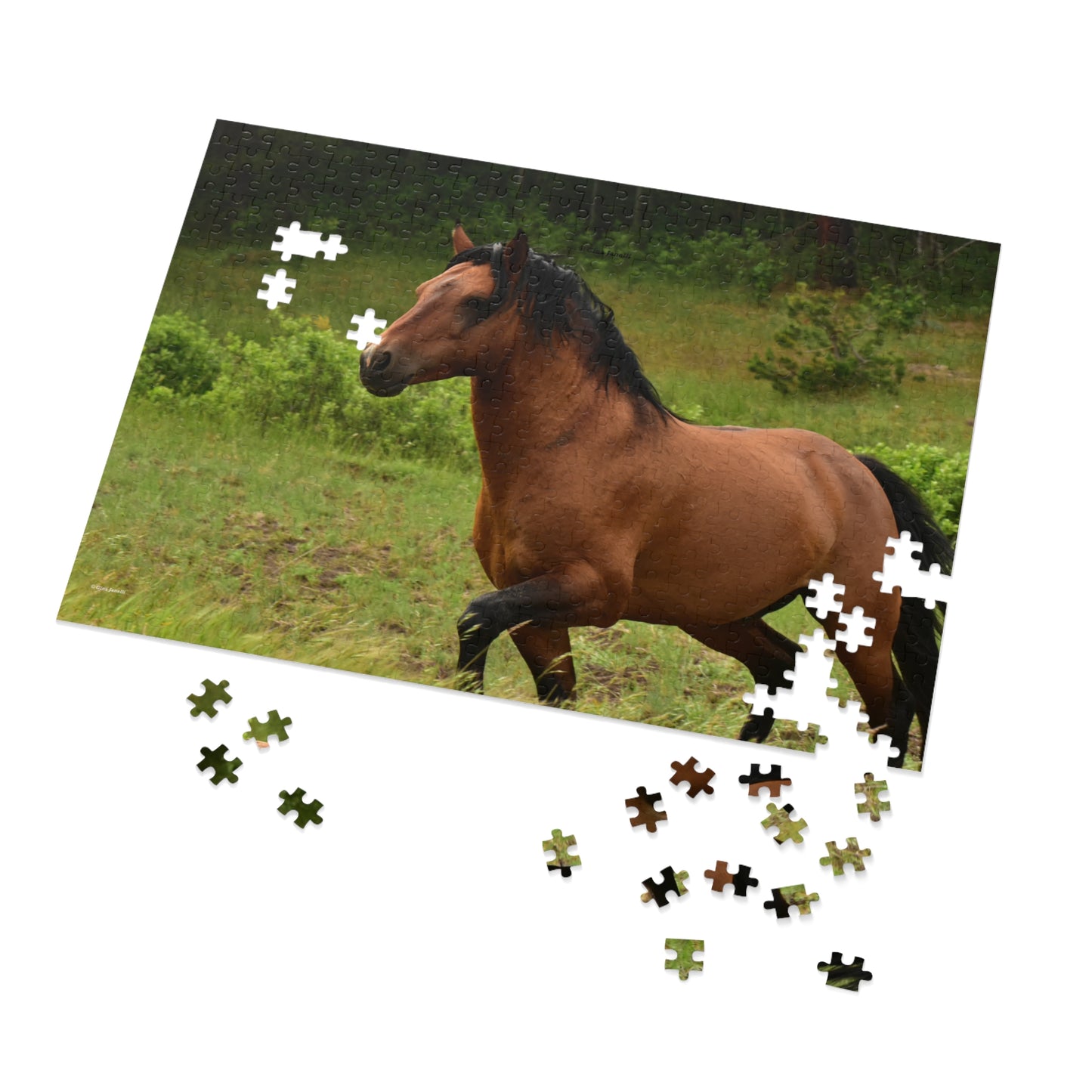 Protector,  Wild Stallion  Jigsaw Puzzle ( 110, 252, 500, Piece)