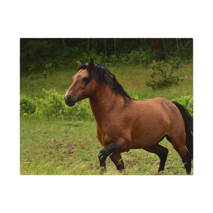 Protector,  Wild Stallion  Jigsaw Puzzle ( 110, 252, 500, Piece)