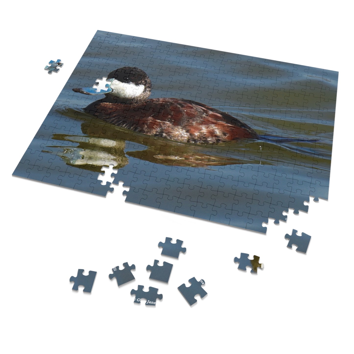 Ruddy Duck  Jigsaw Puzzle (110, 252, 500,-Piece)