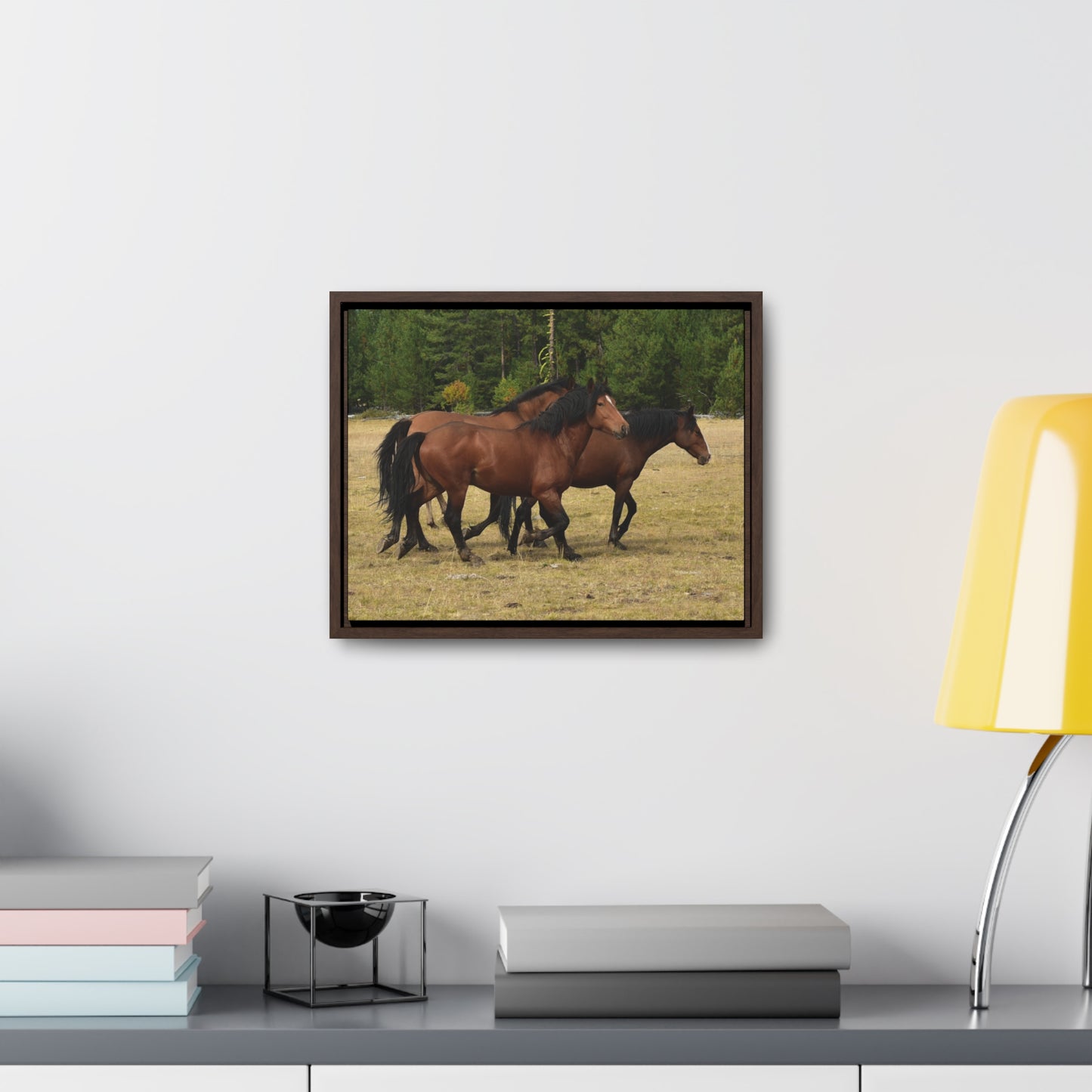 The Wild Bunch. Young Stallion and Mares.  Gallery Canvas Wraps, Horizontal Frame