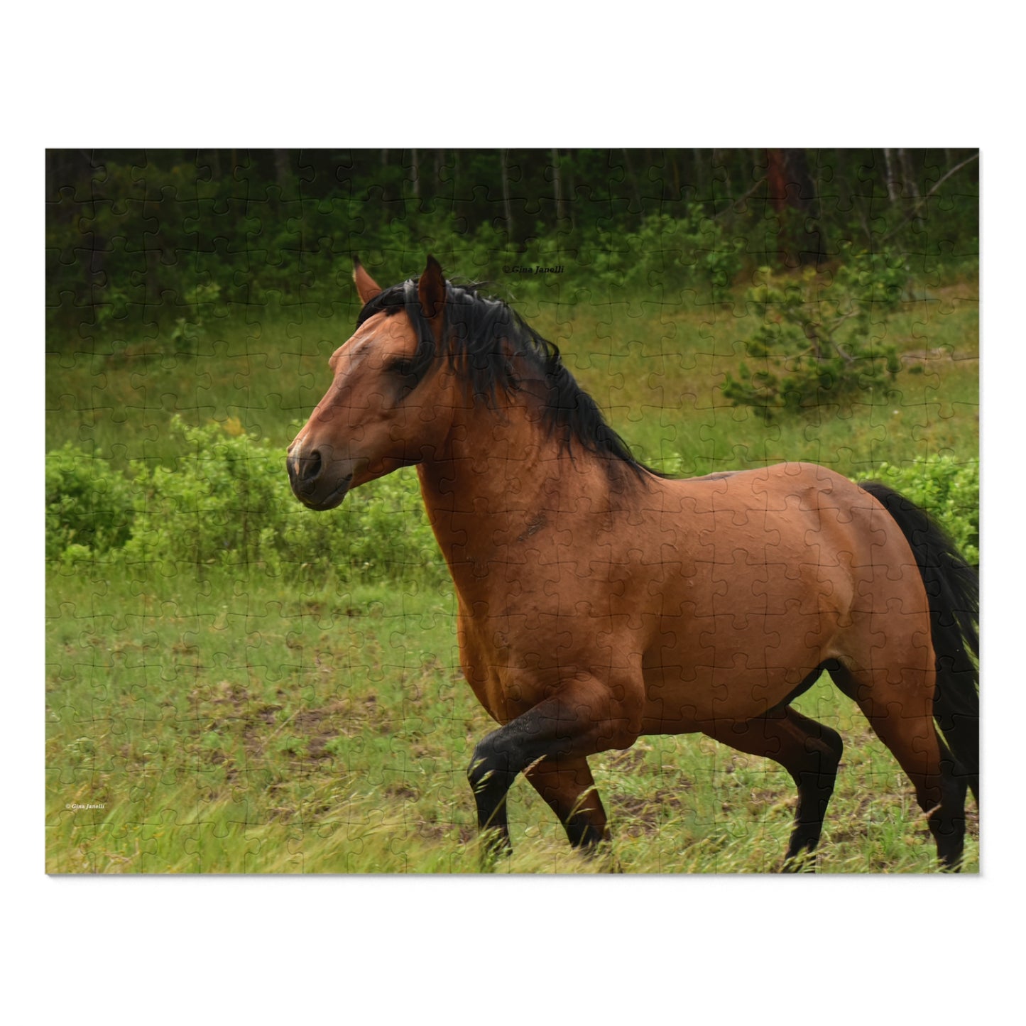 Protector,  Wild Stallion  Jigsaw Puzzle ( 110, 252, 500, Piece)