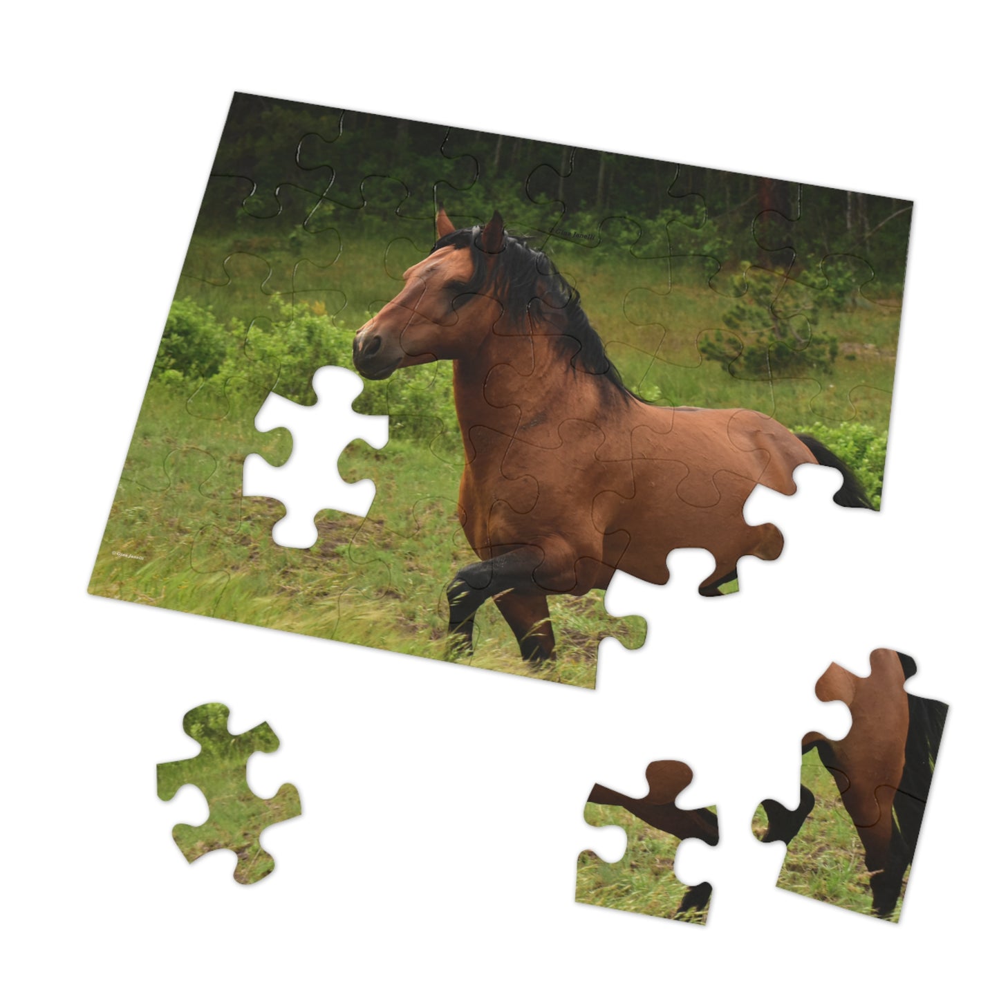 Protector,  Wild Stallion  Jigsaw Puzzle ( 110, 252, 500, Piece)