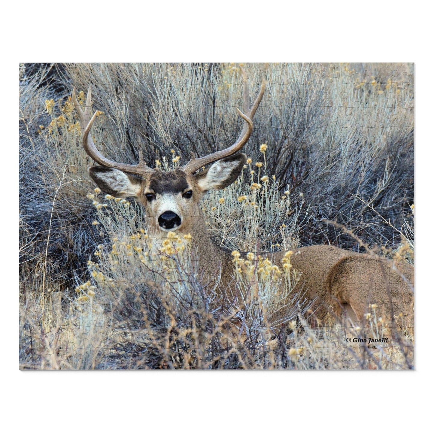 Mule Deer Buck Moment    Jigsaw Puzzle (30, 110, 252 -Piece)