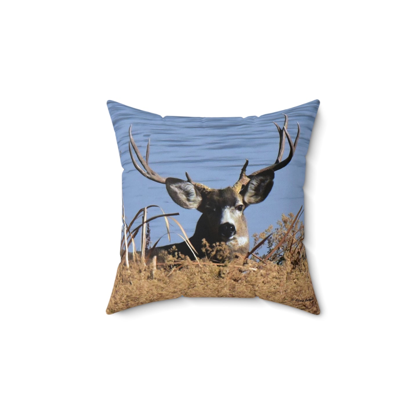 Mule Deer Buck       Spun Polyester Square Pillow