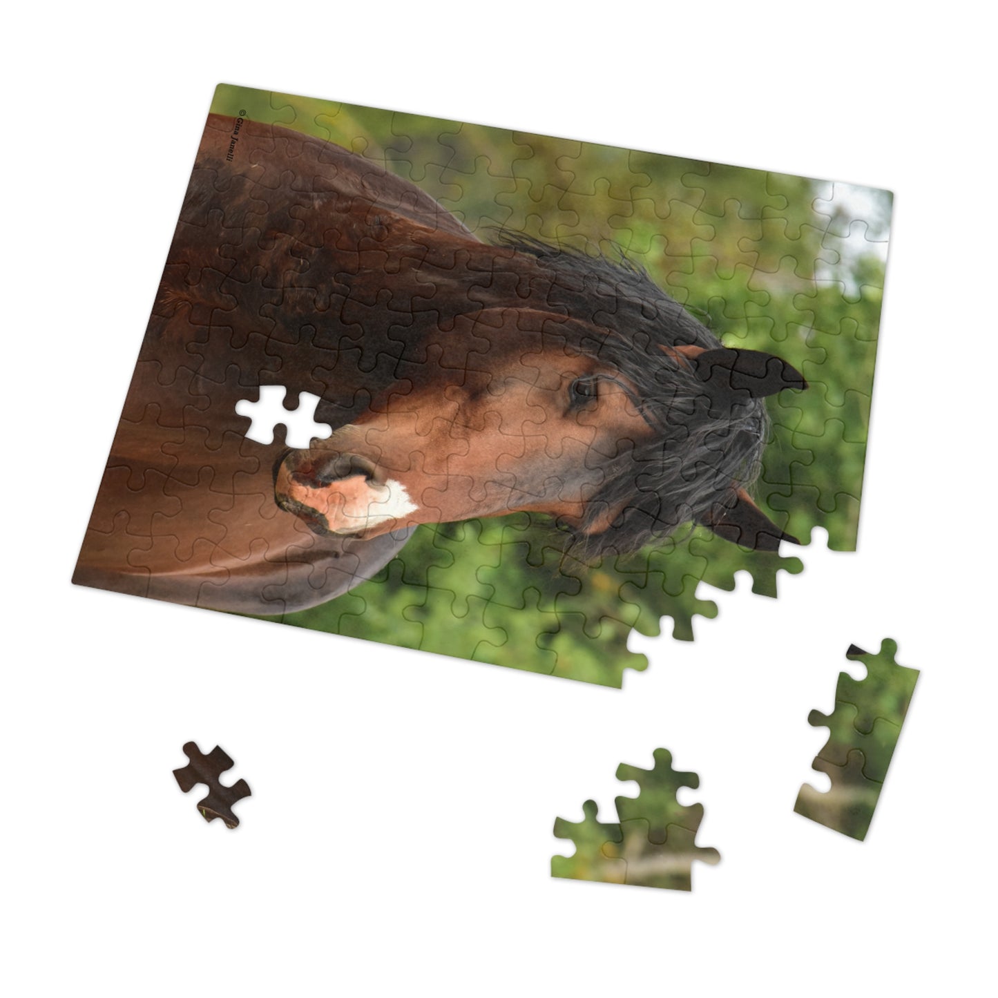 The Challenger, Wild Stallion Jigsaw Puzzle (110, 252, 500, Piece)