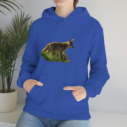 Coyote    Unisex Heavy Blend™ Hooded Sweatshirt