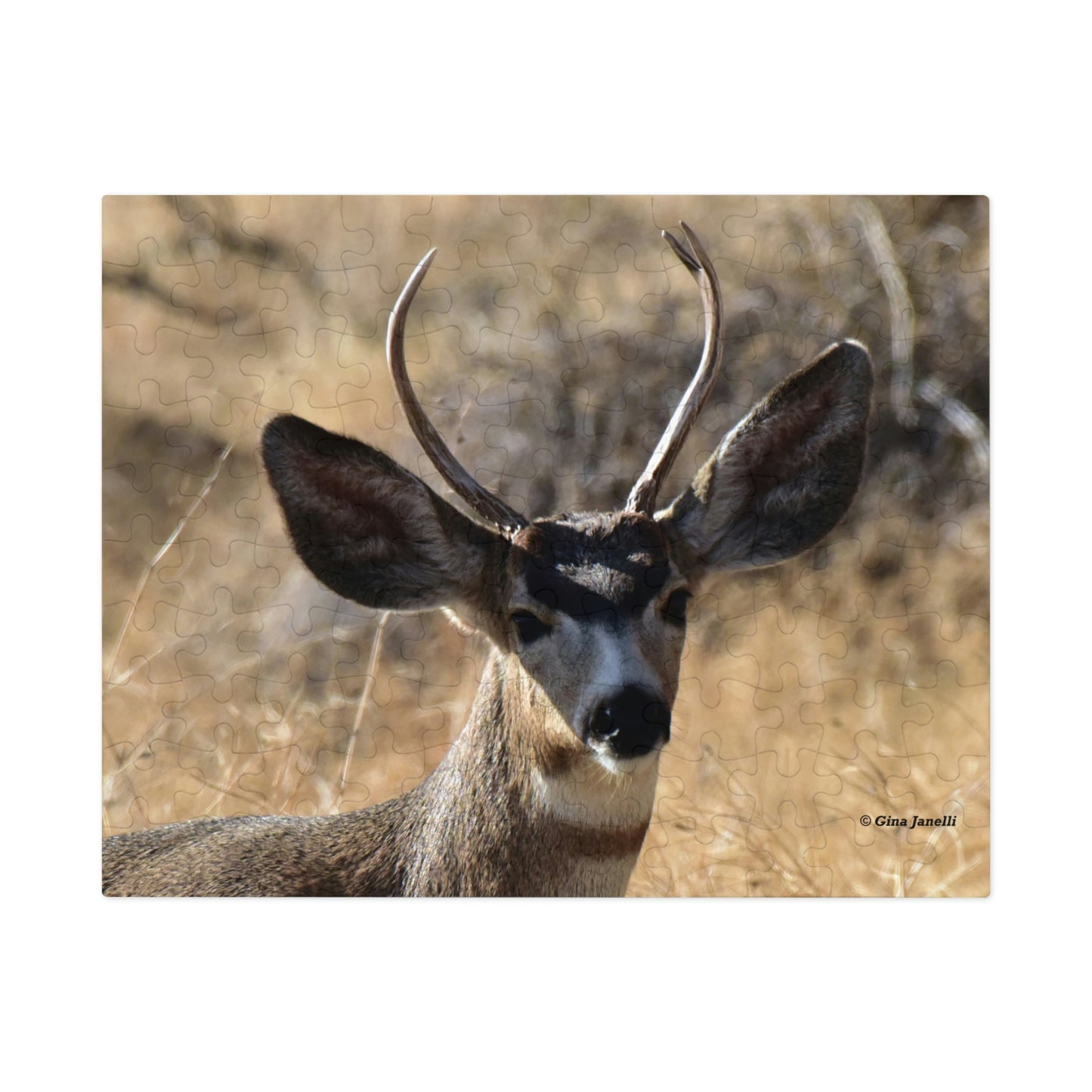 Young Buck - Mule Deer     Jigsaw Puzzle ( 110, & 252, -Piece)