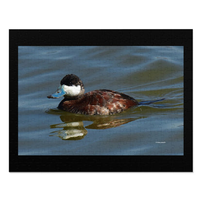 Ruddy Duck    Jigsaw Puzzle ( 110, 252, 500,1000-Piece)