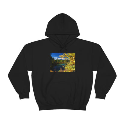 Wood River, Kimball State Park, Ft. Klamath Or.    Unisex Heavy Blend™ Hooded Sweatshirt