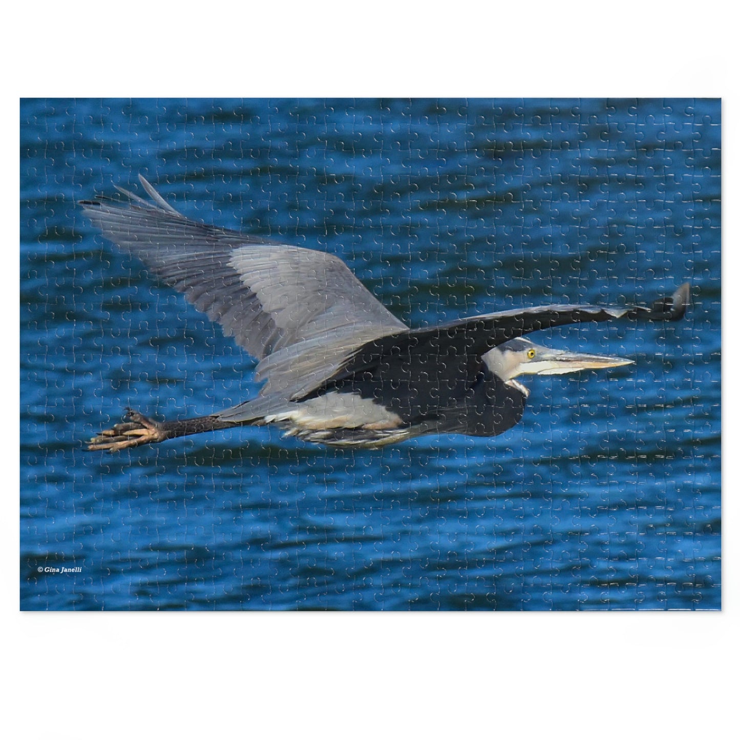 Great Blue Heron  Jigsaw Puzzle ( 110, 252, 500-Piece)