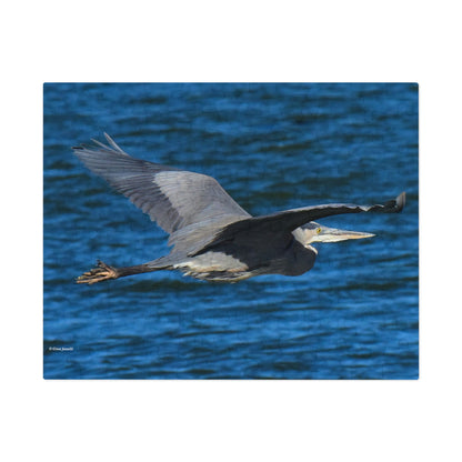 Great Blue Heron  Jigsaw Puzzle ( 110, 252, 500-Piece)