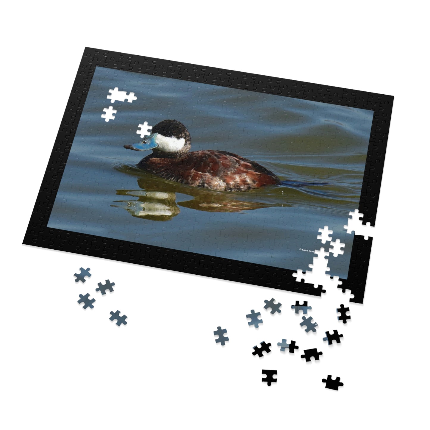 Ruddy Duck    Jigsaw Puzzle ( 110, 252, 500,1000-Piece)