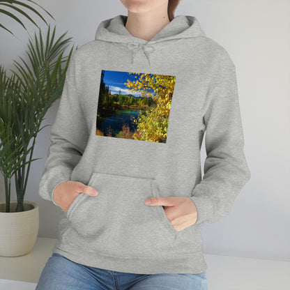 Wood River, Kimball State Park, Ft. Klamath Or.    Unisex Heavy Blend™ Hooded Sweatshirt