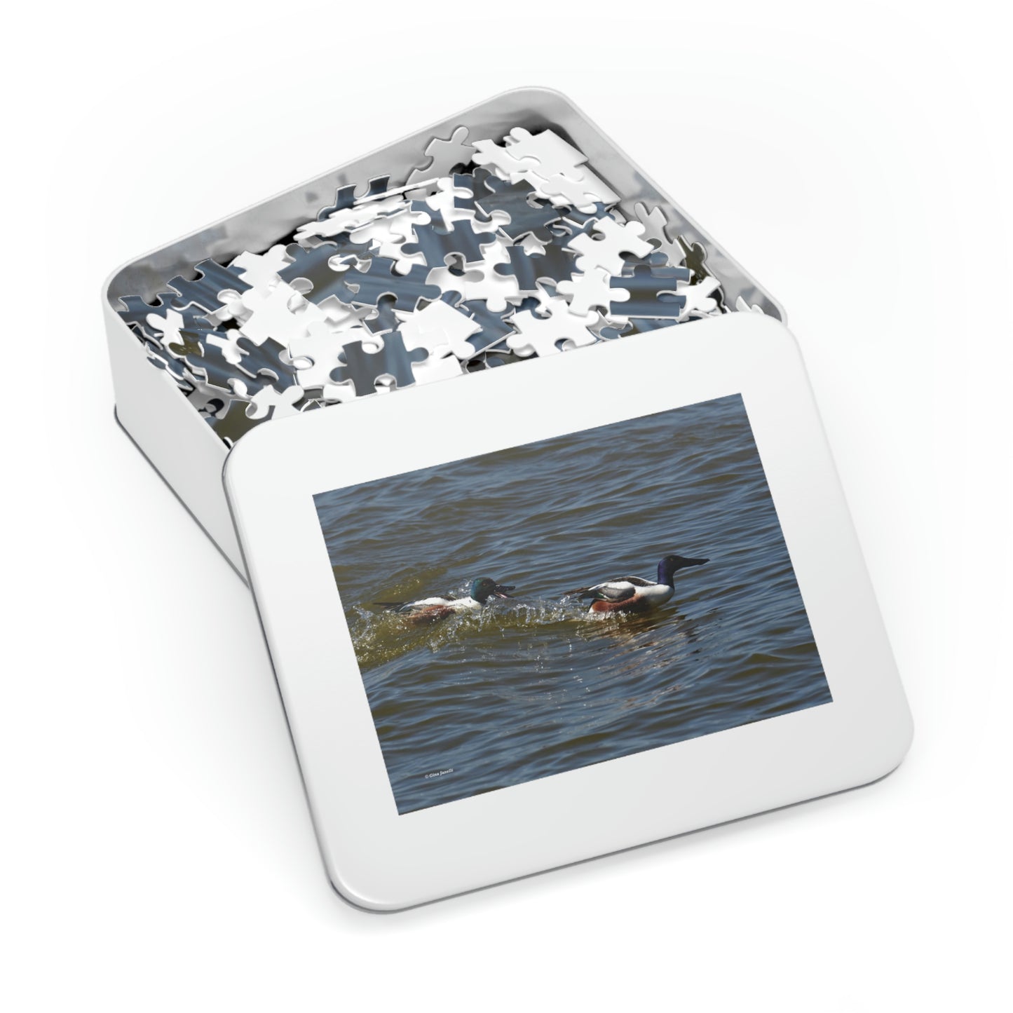 Northern Shoveler   Jigsaw Puzzle (110, 252, 500,1000-Piece)