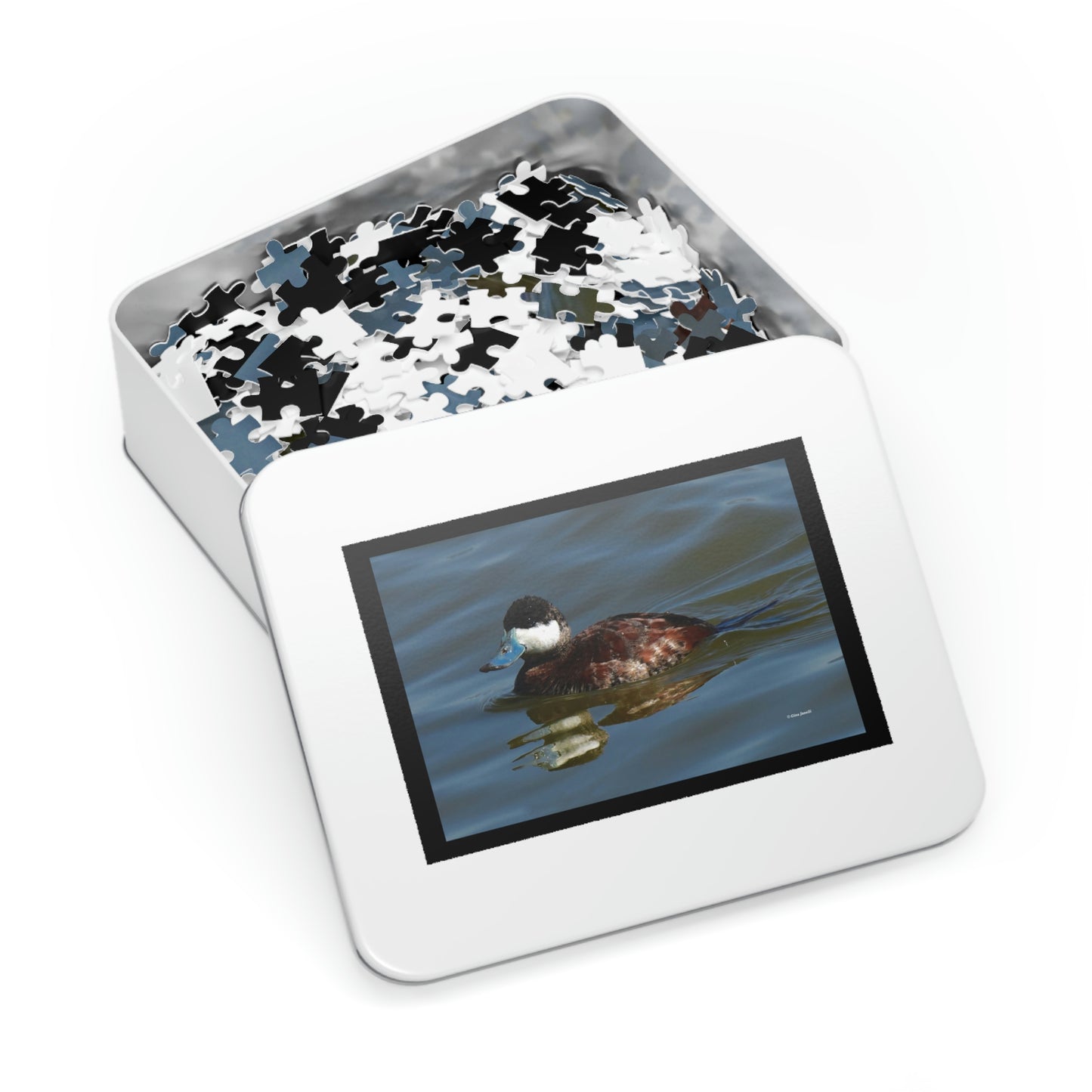 Ruddy Duck    Jigsaw Puzzle ( 110, 252, 500,1000-Piece)