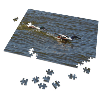 Northern Shoveler   Jigsaw Puzzle (110, 252, 500,1000-Piece)