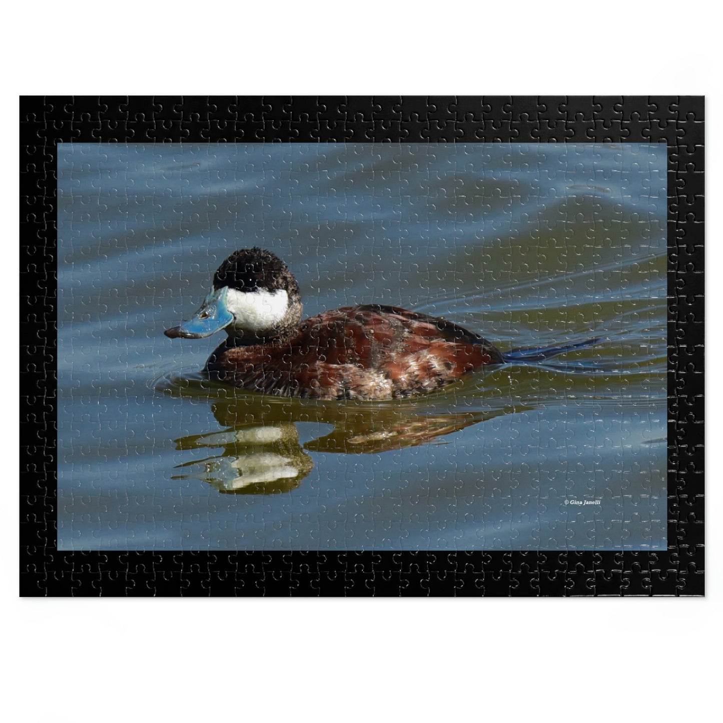 Ruddy Duck    Jigsaw Puzzle ( 110, 252, 500,1000-Piece)