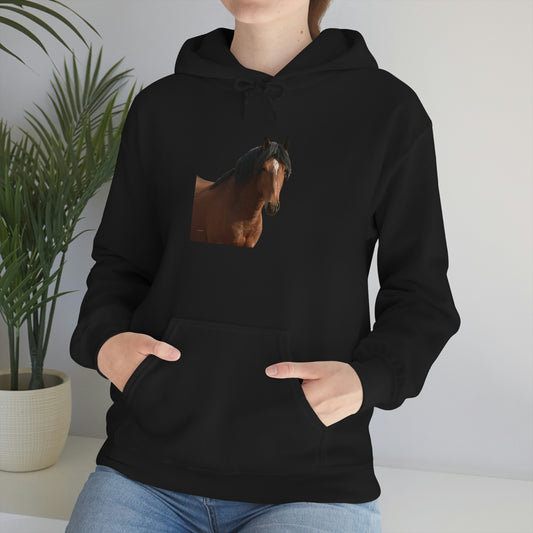 Young Stud, Wild Stallion      Unisex Heavy Blend™ Hooded Sweatshirt
