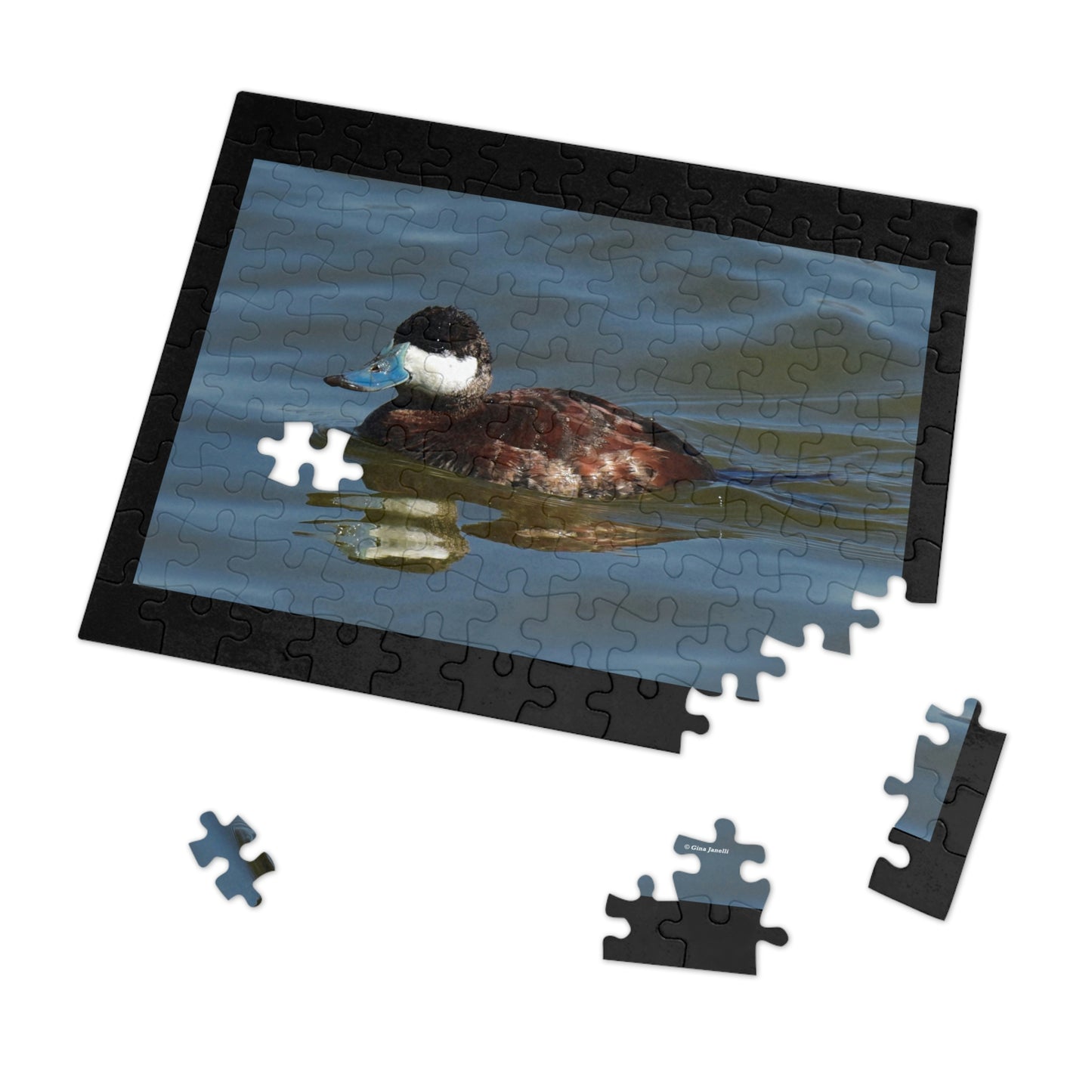 Ruddy Duck    Jigsaw Puzzle ( 110, 252, 500,1000-Piece)