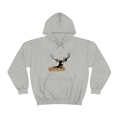 Mule Deer Buck   Unisex Heavy Blend™ Hooded Sweatshirt