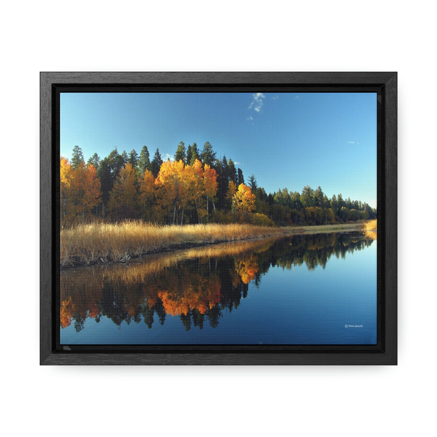 Rocky Point, Klamath Lake, Klamath Falls, Or.    Gallery Canvas Wraps, Horizontal Frame