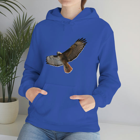 Red Tail Hawk    Unisex Heavy Blend™ Hooded Sweatshirt